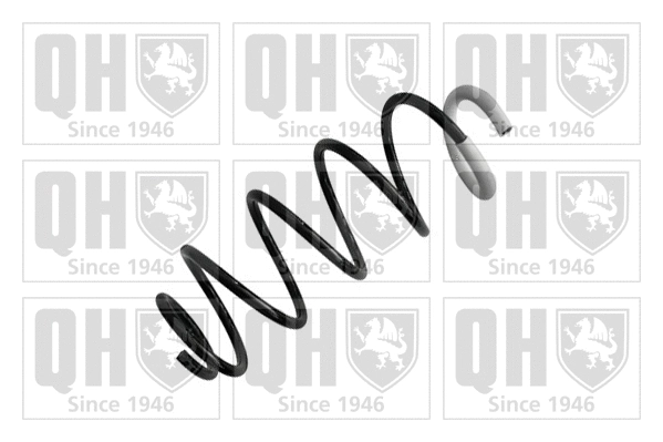 Suspension Spring (QCS6045)