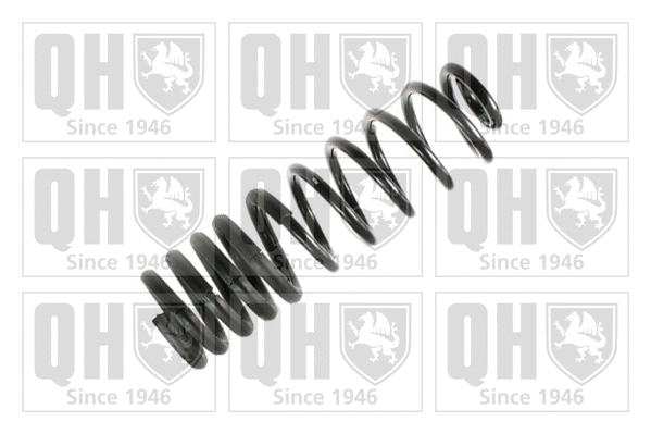 Suspension Spring (QCS7601)