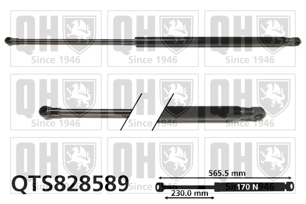 Gas Spring, boot/cargo area (QTS828589)