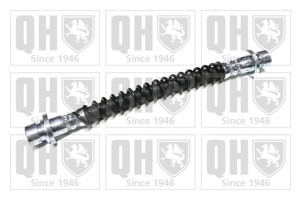Brake Hose (BFH6012)