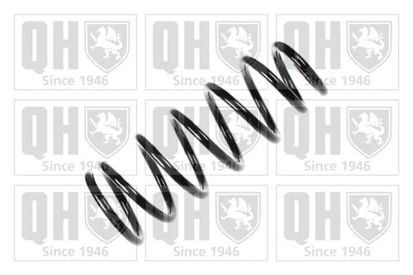 Suspension Spring (QCS6909)
