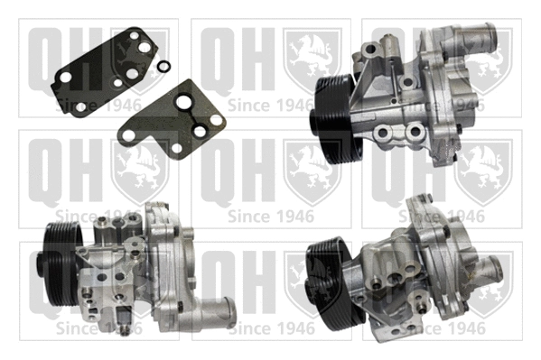 Water Pump, engine cooling (QCP3748BH)