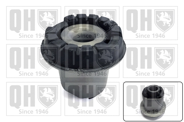 Bushing, axle beam (EMS8290)
