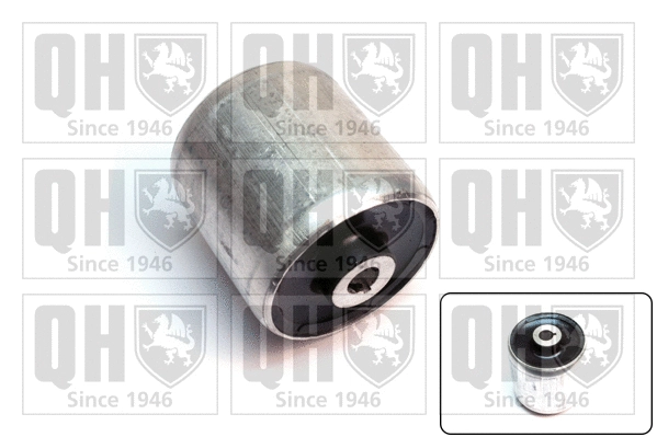 Mounting, control/trailing arm (EMS8591)