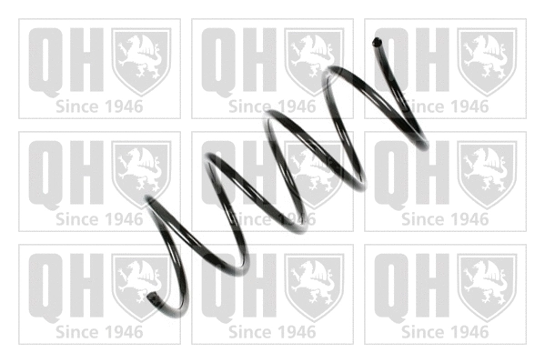 Suspension Spring (QCS7107)