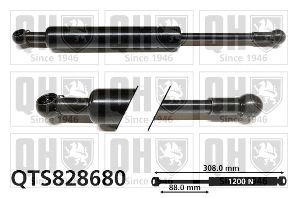 Gas Spring, boot/cargo area (QTS828680)