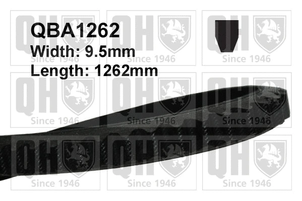 V-Belt (QBA1262)