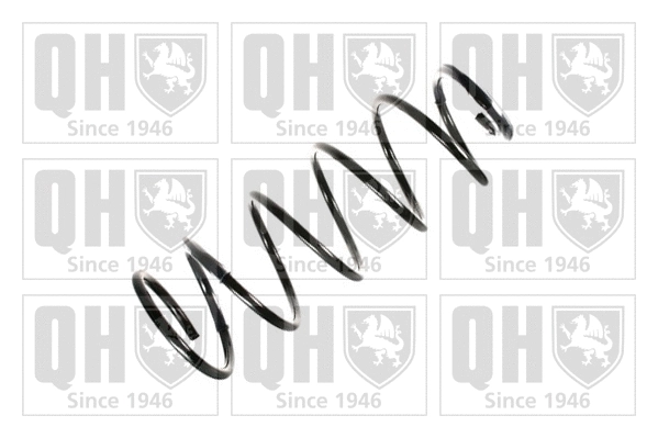 Suspension Spring (QCS8098)