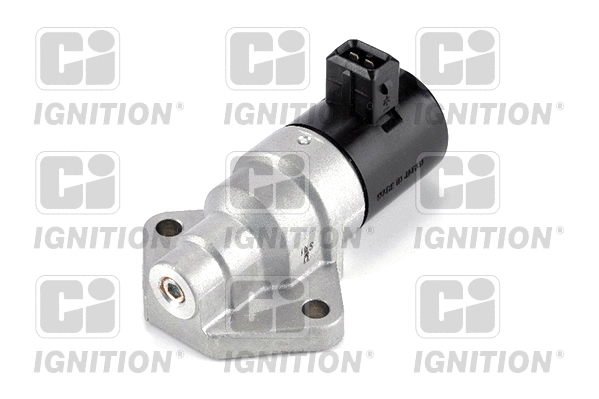 Idle Control Valve, air supply (XICV49)