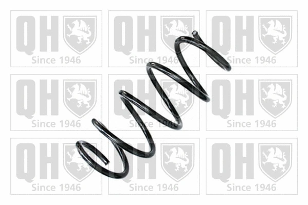 Suspension Spring (QCS9073)
