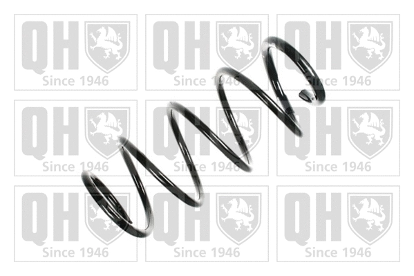 Suspension Spring (QCS6433)