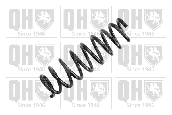 Suspension Spring (QCS6557)