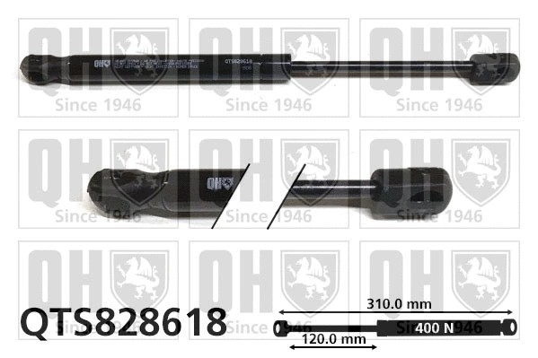Gas Spring, bonnet (QTS828618)