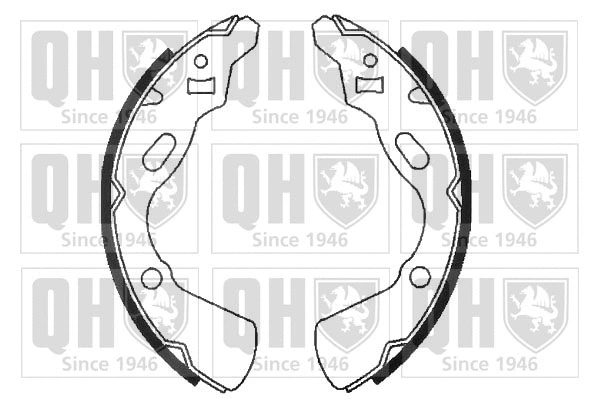 Brake Shoe Set (BS869)