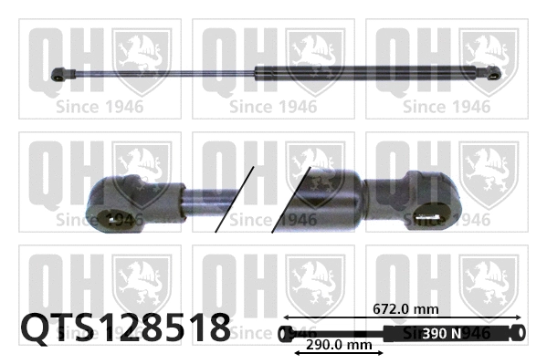Gas Spring, boot/cargo area (QTS128518)