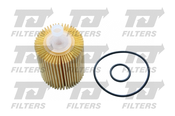 Oil Filter (QFL0098)