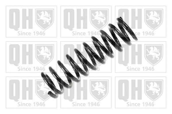 Suspension Spring (QCS6833)