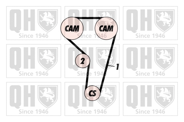 Timing Belt Kit (QBK463)