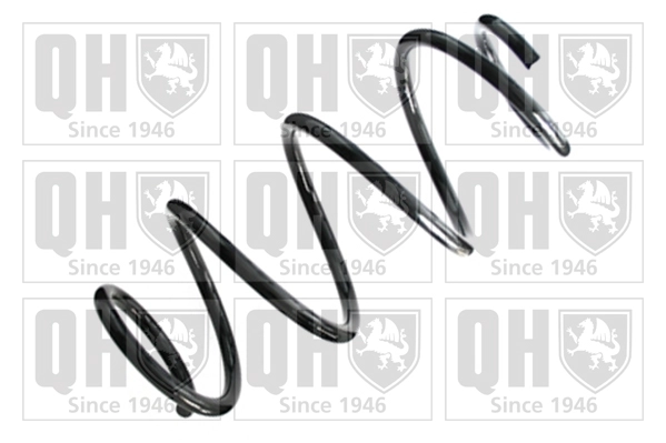 Suspension Spring (QCS8389)