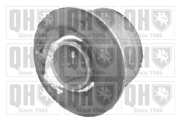 Mounting, control/trailing arm (EMS8017)