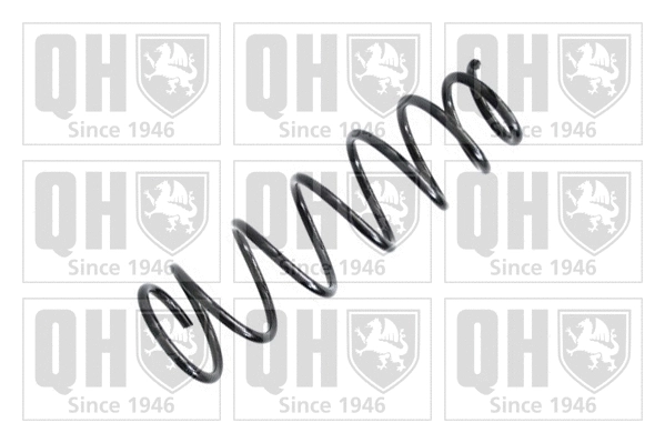 Suspension Spring (QCS6758)