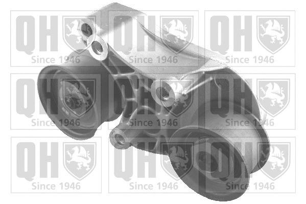 Tensioner Pulley, timing belt (QTT1119)