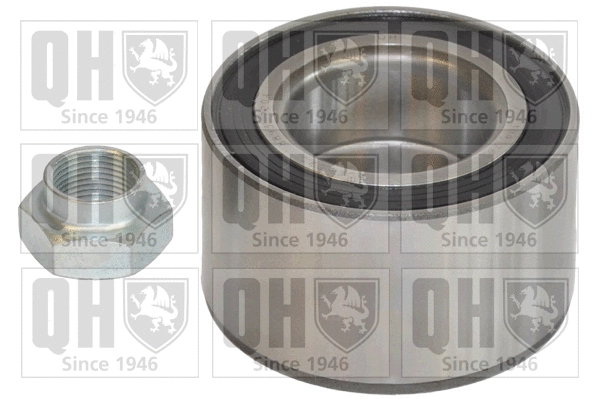 Wheel Bearing Kit (QWB784)