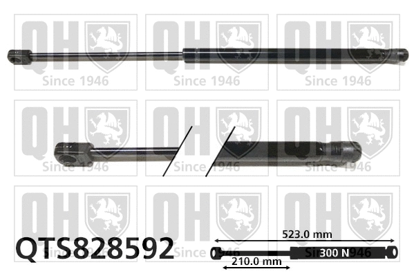 Gas Spring, boot/cargo area (QTS828592)