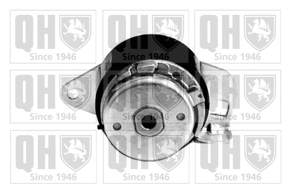 Tensioner Pulley, timing belt (QTT890)