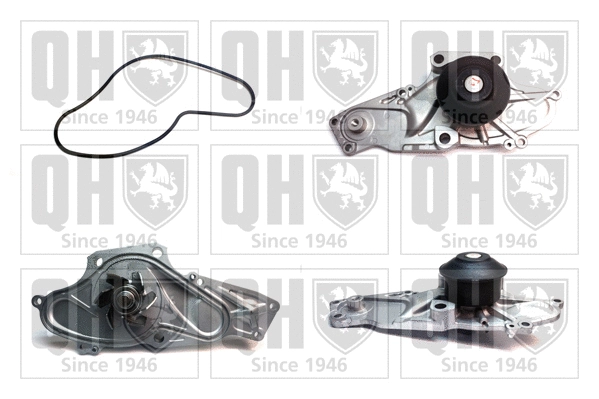 Water Pump, engine cooling (QCP3528)