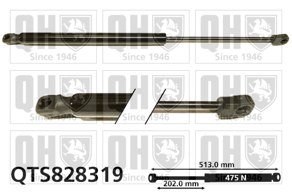 Gas Spring, boot/cargo area (QTS828319)