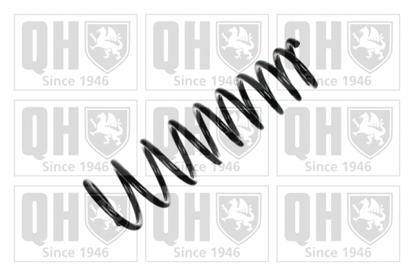 Suspension Spring (QCS7168)