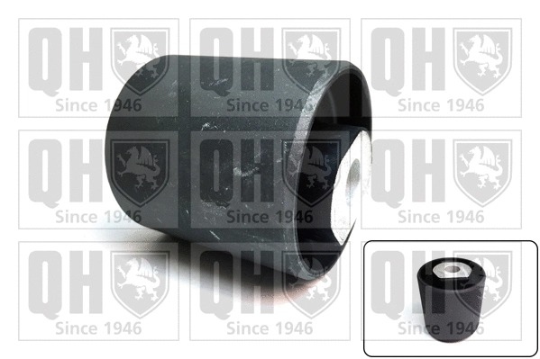 Mounting, control/trailing arm (EMS8624)