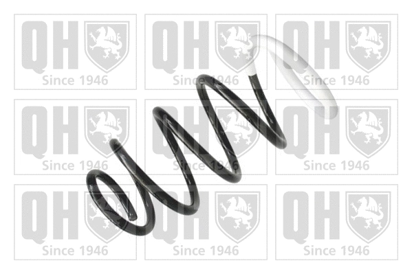Suspension Spring (QCS6949)