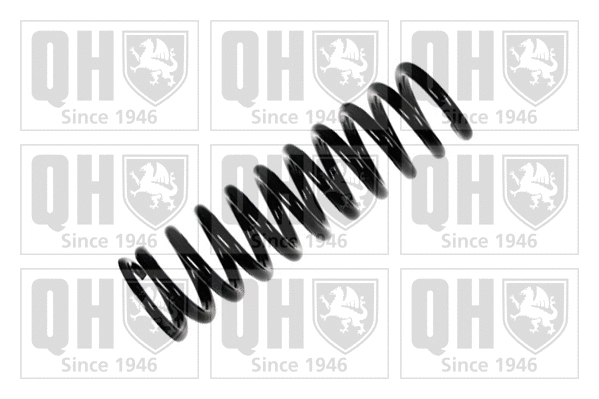 Suspension Spring (QCS5665)