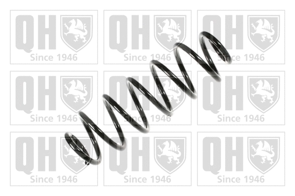 Suspension Spring (QCS5271)