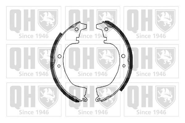 Brake Shoe Set (BS598)