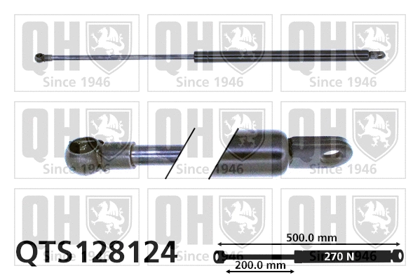 Gas Spring, boot/cargo area (QTS128124)