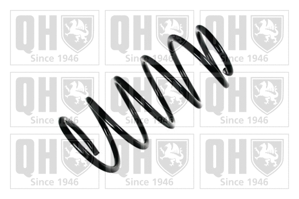 Suspension Spring (QCS6205)
