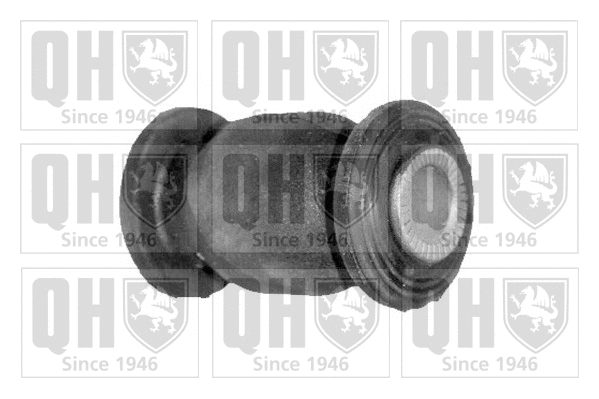 Mounting, control/trailing arm (EMS8271)
