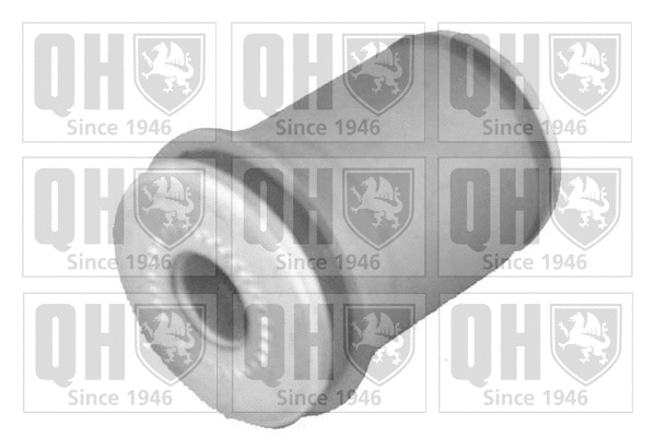 Mounting, control/trailing arm (EMS8171)
