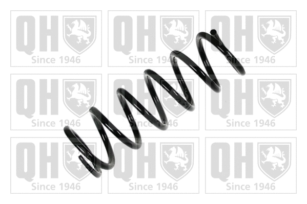 Suspension Spring (QCS8147)