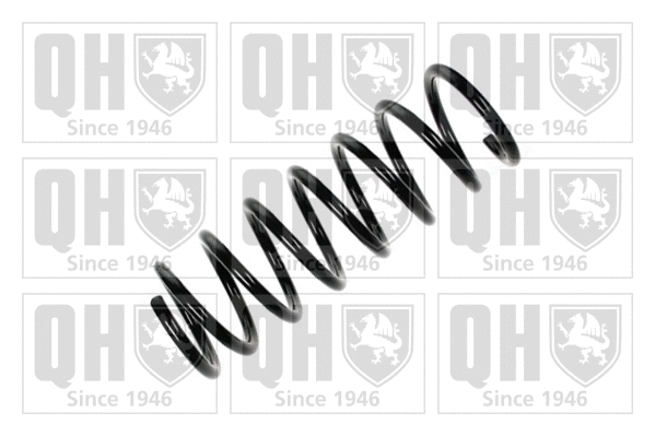 Suspension Spring (QCS6692)