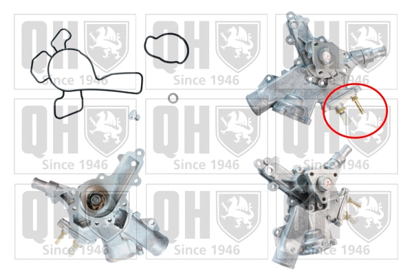Water Pump, engine cooling (QCP3290BH)