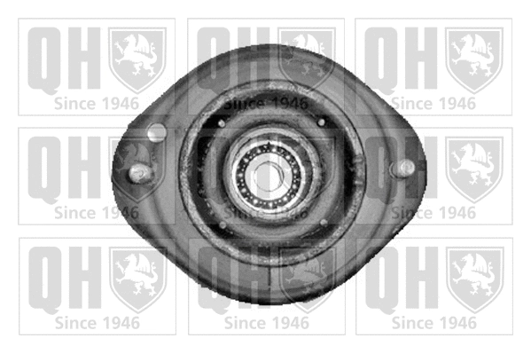 Suspension Strut Support Mount (EMA1587)