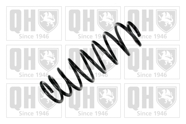 Suspension Spring (QCS6382)