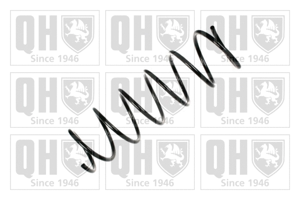 Suspension Spring (QCS5523)
