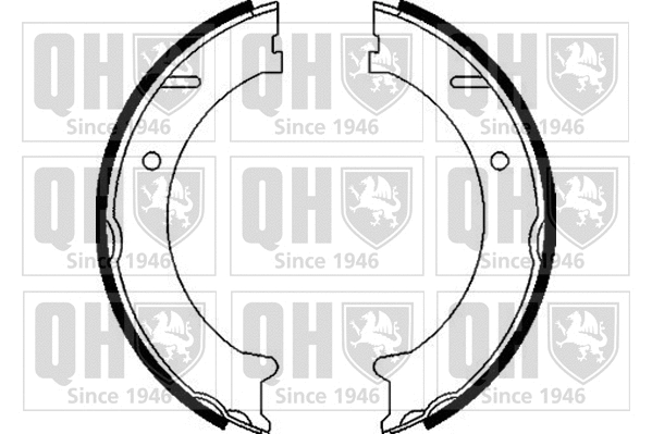 Brake Shoe Set, parking brake (BS1098)