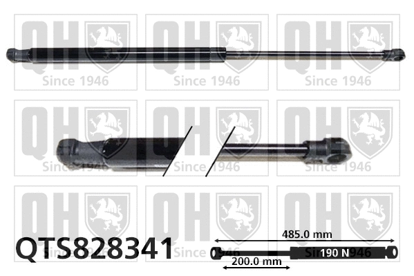 Gas Spring, boot/cargo area (QTS828341)