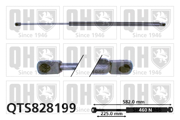 Gas Spring, boot/cargo area (QTS828199)